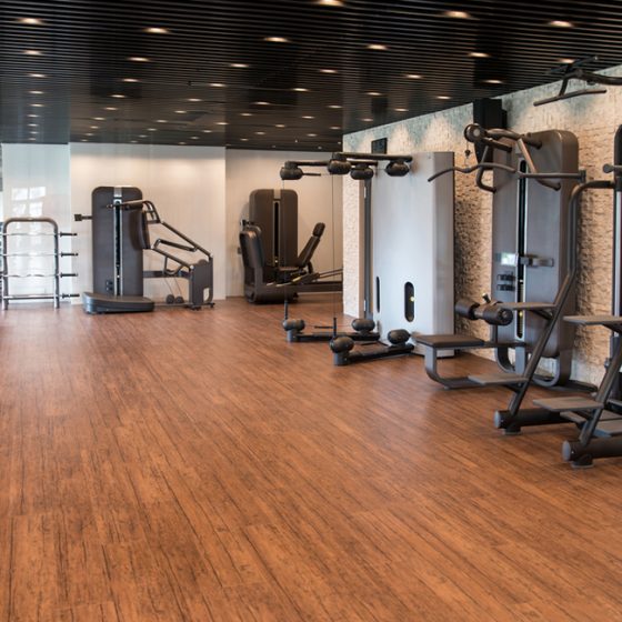 fitness