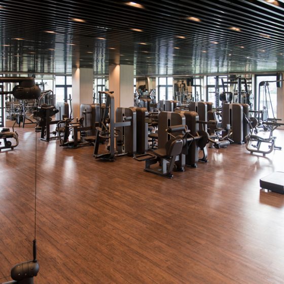 fitness